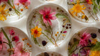 Set of 4 Coasters