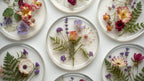 Set of 4 Coasters